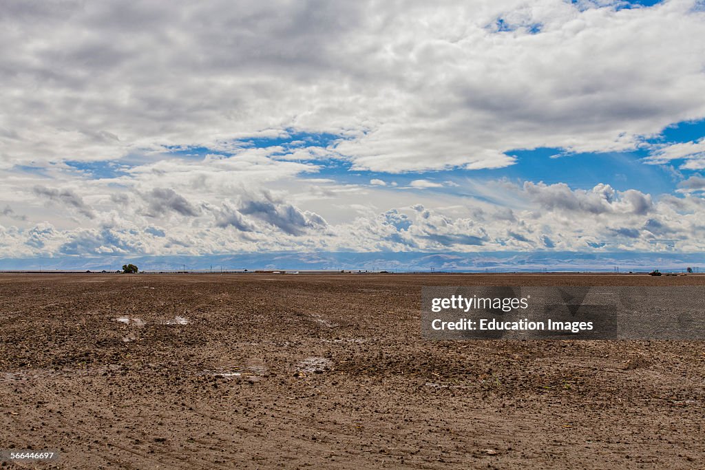 Fallow field, Kern County