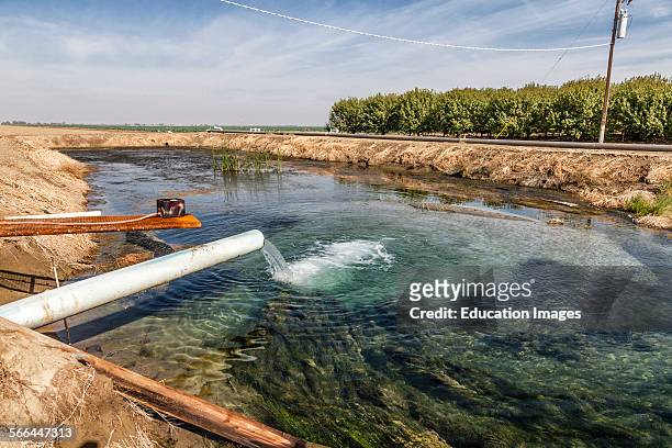 Groundwater well pumping into holding pond on Cardello Winery. Rod Cardella runs Cardella Winery, a family business since 1969, grows almonds,...