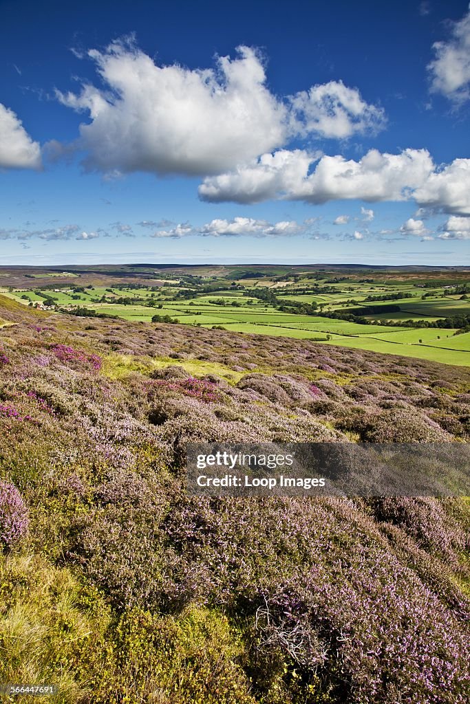 North Yorkshire