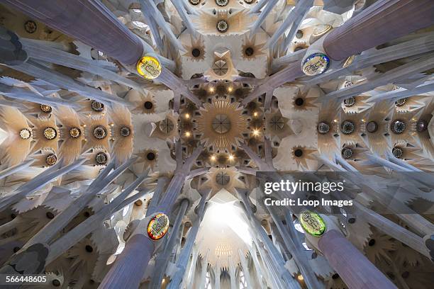 437 Sagrada Familia Interior Stock Photos, High-Res Pictures, and ...