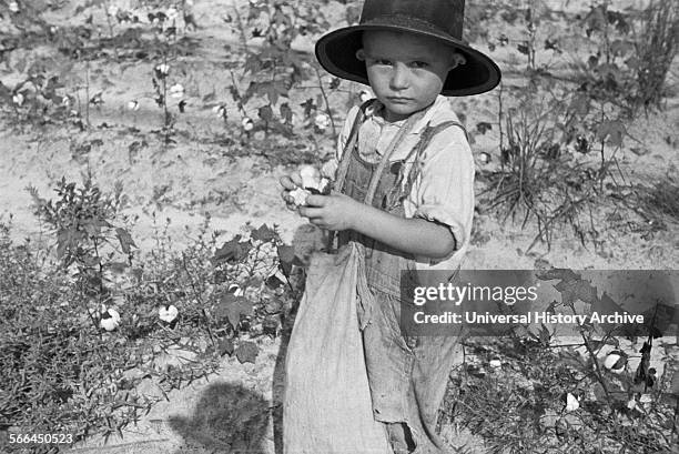 Arthur Rothstein photograph of the son of a cotton sharecropper, Lauderdale County, Mississippi, 1935