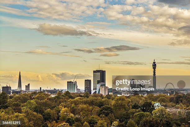 The London Autumn skyline from Primrose Hill.