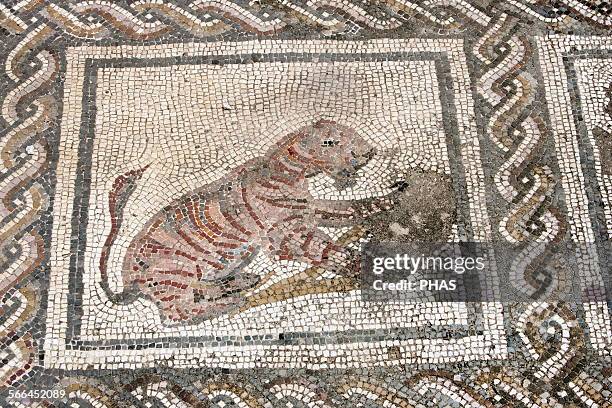 Spain, Italica. Roman city founded c. 206 BC. House of the Planetarium. Mosaic of Bacchus and Ariadne, Tiger, Andalusia.