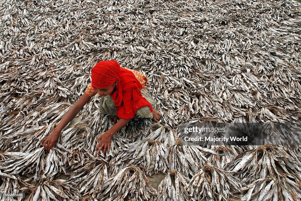 Dried fish beside karnaphuli river