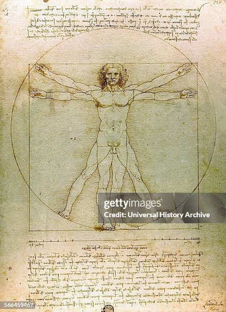 The Vitruvian Man. By Leonardo da Vinci. Dated 15th Century.