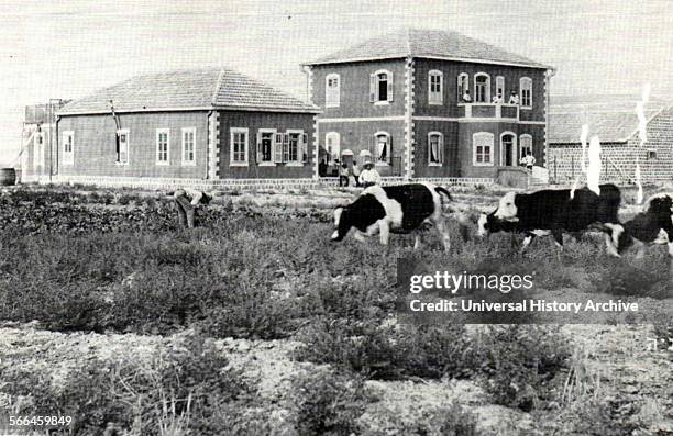 Photograph of the first houses in Degania Alef, a kibbutz in Northern Israel. Dated 1912.