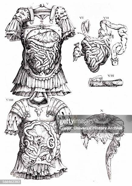 Anatomical illustration from 'Anatomia del corpo humano' 1559 by Juan Valverde de Amusco .