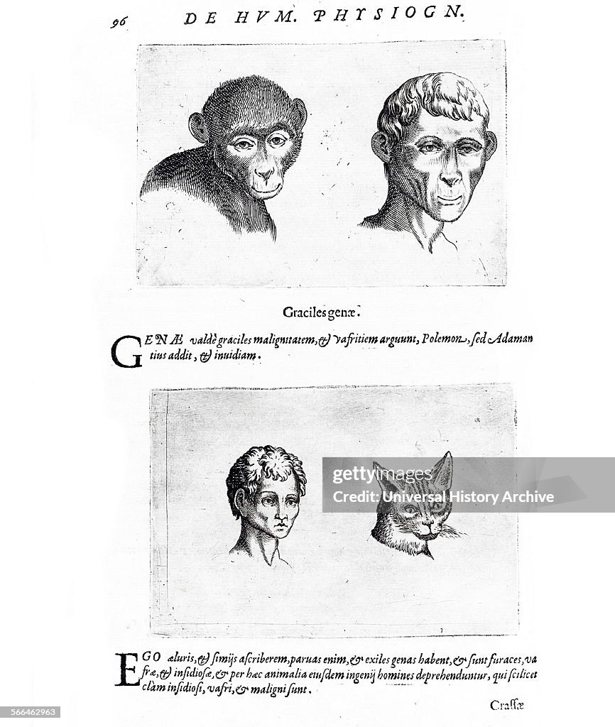 Physiognomy from 'De humana physiognomonia libri IIII'.