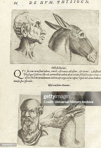 Illustration on Physiognomy from 'De humana physiognomonia libri IIII'; By Giambattista della Porta , also known as Giovanni Battista Della Porta an...