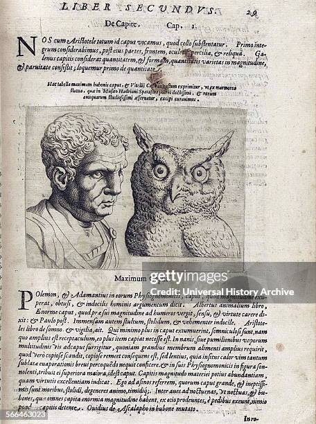 Illustration on Physiognomy from 'De humana physiognomonia libri IIII'; By Giambattista della Porta , also known as Giovanni Battista Della Porta an...