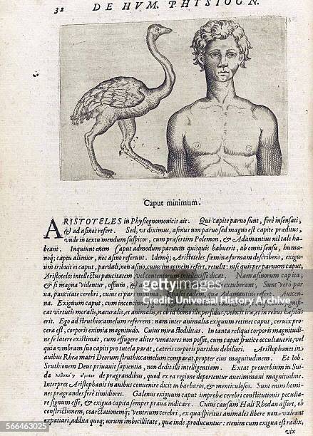 Illustration on Physiognomy from 'De humana physiognomonia libri IIII'; By Giambattista della Porta , also known as Giovanni Battista Della Porta an...