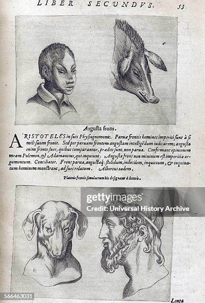 Illustration on Physiognomy from 'De humana physiognomonia libri IIII'; By Giambattista della Porta , also known as Giovanni Battista Della Porta an...