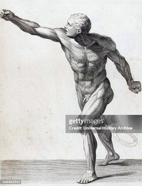 Anatomical study by Bernardino Genga 'Anatomia per uso et intelligenza del disegno ricercata non solo su gl'ossi, e muscoli del corpo humano' ....