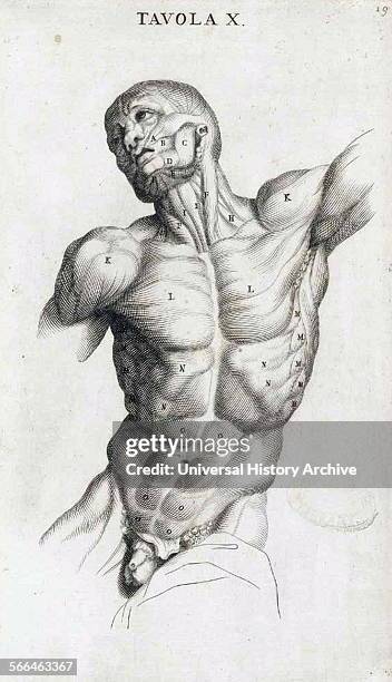 Anatomical study by Bernardino Genga 'Anatomia per uso et intelligenza del disegno ricercata non solo su gl'ossi, e muscoli del corpo humano' ....