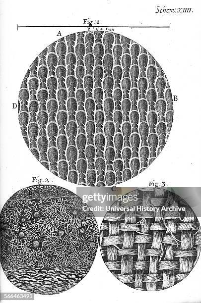 Micrographica Robert Hooke Microscope Photos and Premium High Res Pictures - Getty Images