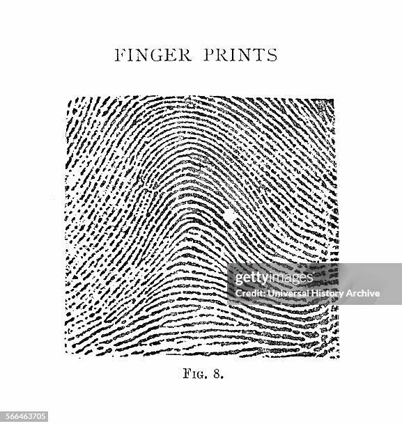 Fingerprint Arch Photos and Premium High Res Pictures - Getty Images