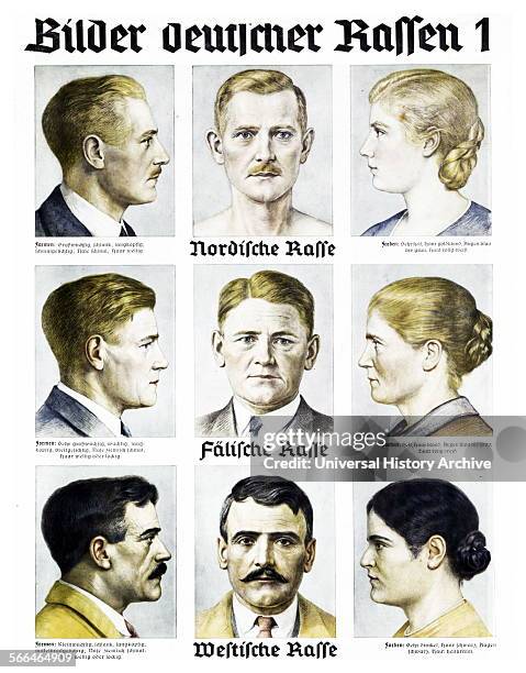 Nazi Party Wall chart: Pictures German races 1, 1935. Display boards for "racial theory lessons" were intended to give students the desired state and...