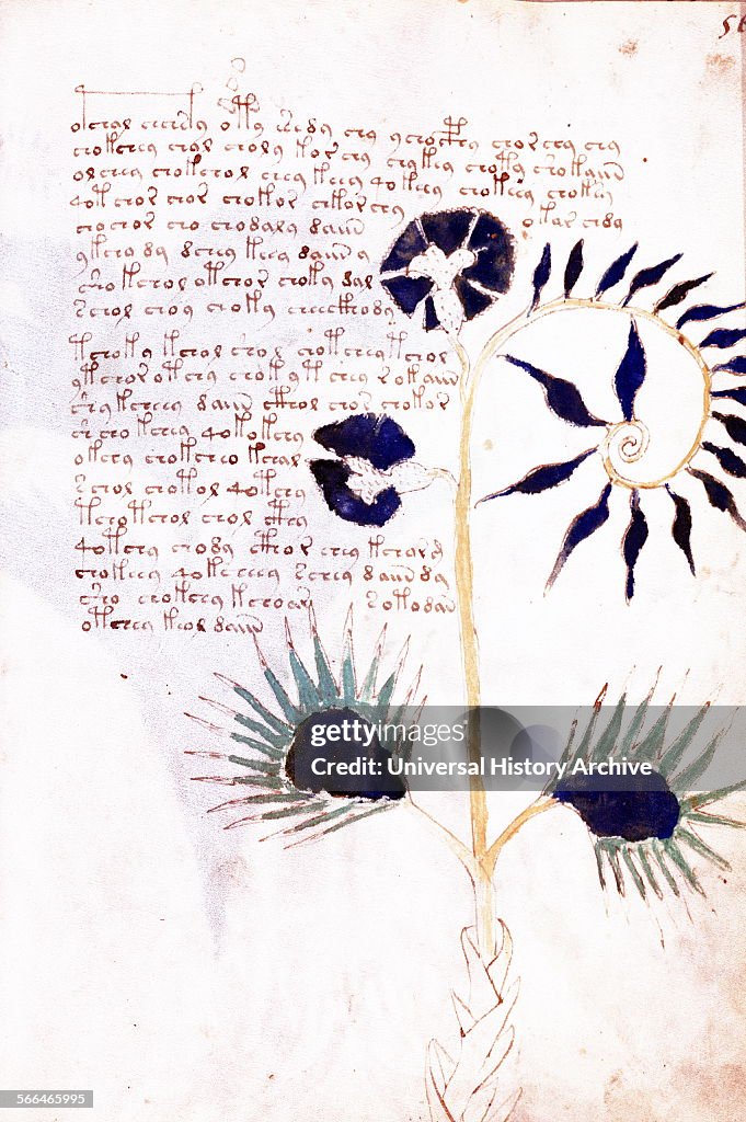 The Voynich manuscript.