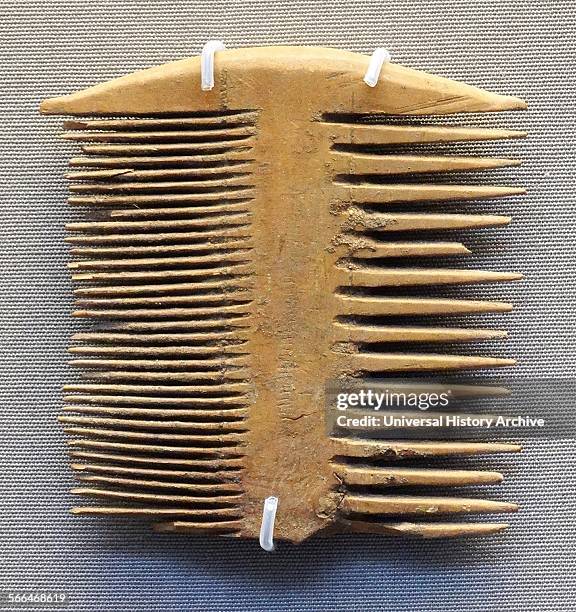 Egyptian comb from a Meroitic house within the fortress at Qasr Ibrim.