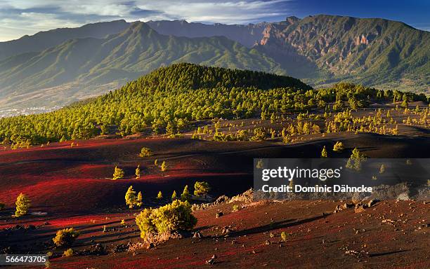 mountains of la palma island (canary islands) - la palma stock pictures, royalty-free photos & images