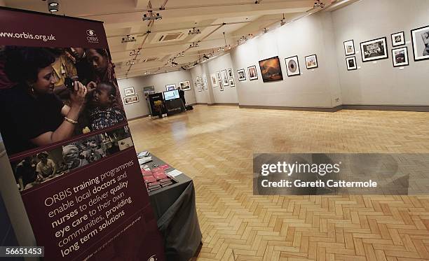 Auction lots are seen ahead of the Love At First Sight reception and auction at Bonhams on January 23, 2006 in London, England. The event, hosted by...