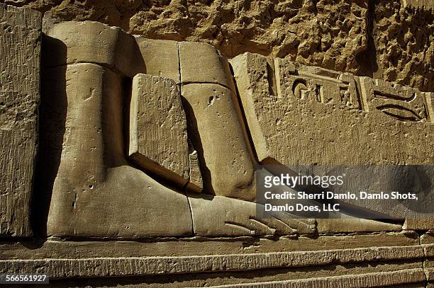 egyptian feet - damlo does stock-fotos und bilder