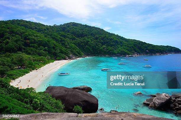 similan islands national park, thailand. - îles similan photos et images de collection