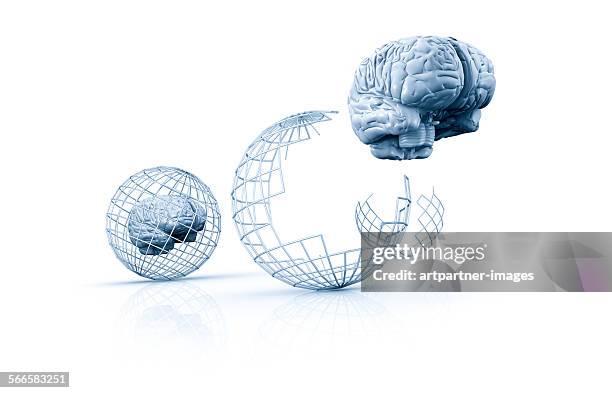 German Cage Photos and Premium High Res Pictures - Getty Images