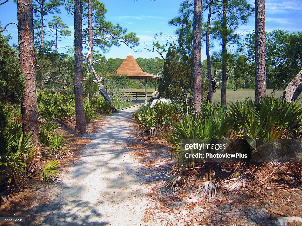 Hunting Island State Park shelter