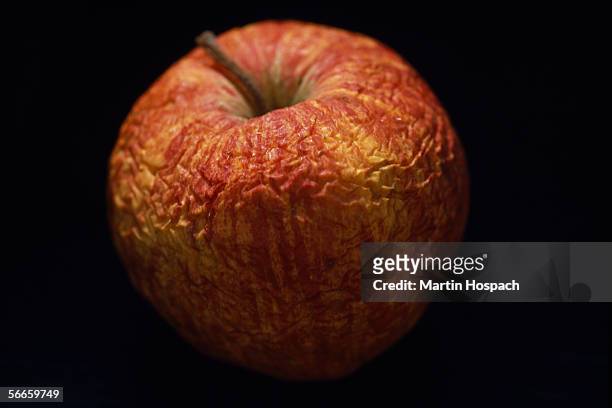 rotting apple - fruit decay stockfoto's en -beelden
