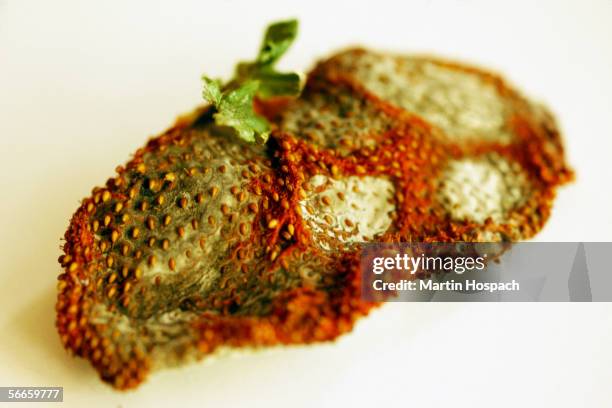 148 Rotten Potato Stock Photos, High-Res Pictures, and Images - Getty ...