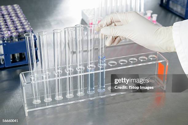 a person holding a test tube containing blue liquid - reageerbuisrek stockfoto's en -beelden