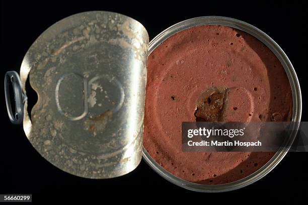 close up of a container of processed meat - canned meat stock pictures, royalty-free photos & images