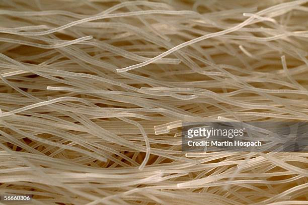 close up of raw glass noodles - vermicelle chinois photos et images de collection
