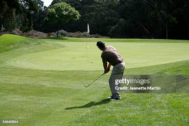 rear view of a golfer after hitting a ball - tree chipping stock pictures, royalty-free photos & images