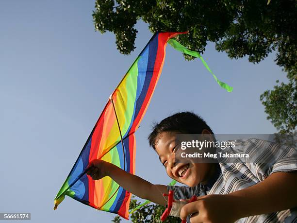 low angle view of a boy holding a kite - tee reel stock pictures, royalty-free photos & images