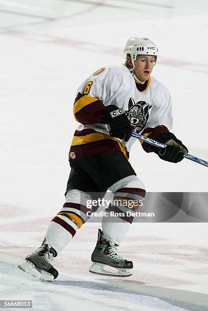Karl Stewart of the Chicago Wolves skates against the Peoria Rivermen at Allstate Arena on December 11, 2005 in Rosemont, Illinois. The Wolves won...