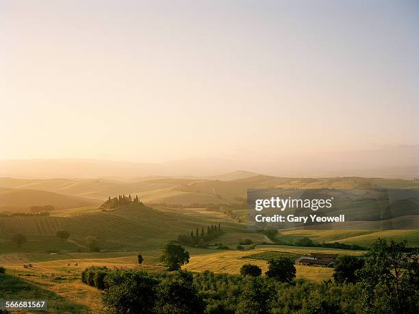 farmhouse in rolling tuscan landscape at dawn - olivo fotografías e imágenes de stock