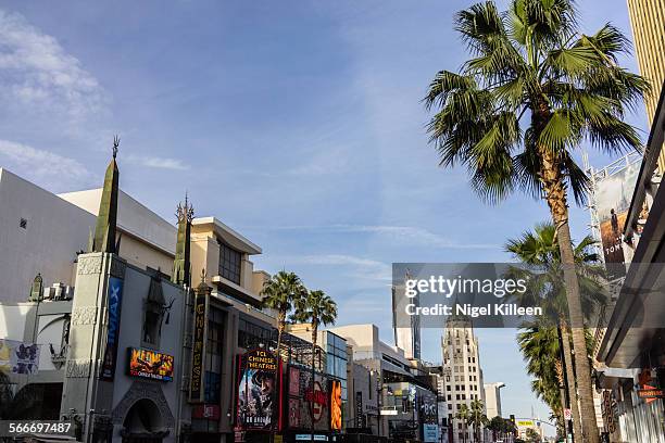 hollywood boulevard - hollywood boulevard stock pictures, royalty-free photos & images