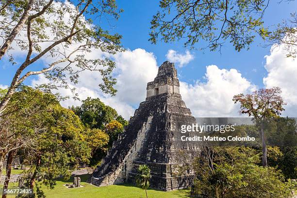 mayan ruins of tikal, temple i, guatemala - tikal stockfoto's en -beelden