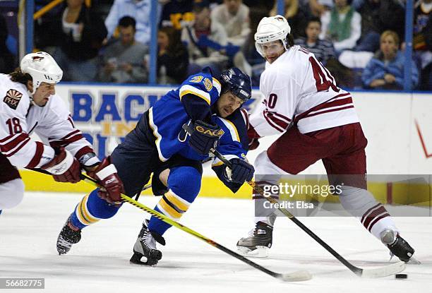 Doug Weight of the St. Louis Blues takes the puck from Mike Ricci and Tyson Nash of the Phoenix Coyotes on January 26, 2006 at the Savvis Center in...