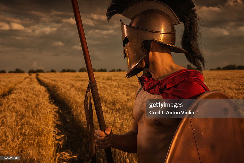 Greek warrior in wheat field