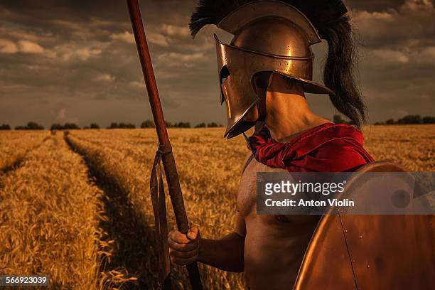 greek warrior in wheat field - space war stock pictures, royalty-free photos & images
