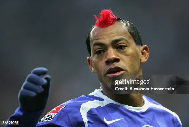 Marcelinho of Berlin looks on during the Bundesliga match between Hertha BSC Berlin and Hanover 96 at the Olympic Stadium on January 28, 2006 in...