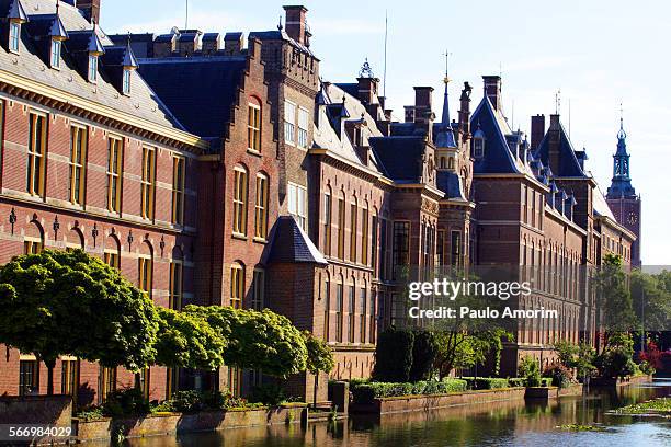 the binnenhof castle in the hague netherlands - binnenhof 個照片及圖片檔