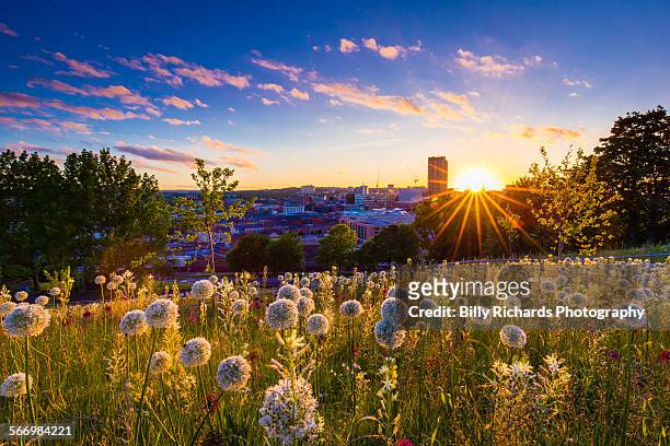 sheffield sunset - sheffield cityscape stock pictures, royalty-free photos & images