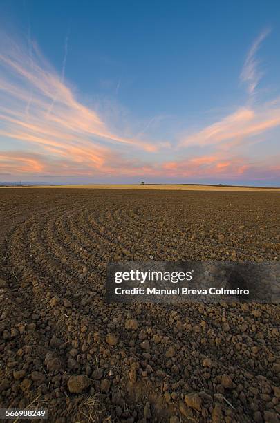agricultural sunset - field stubble stock pictures, royalty-free photos & images