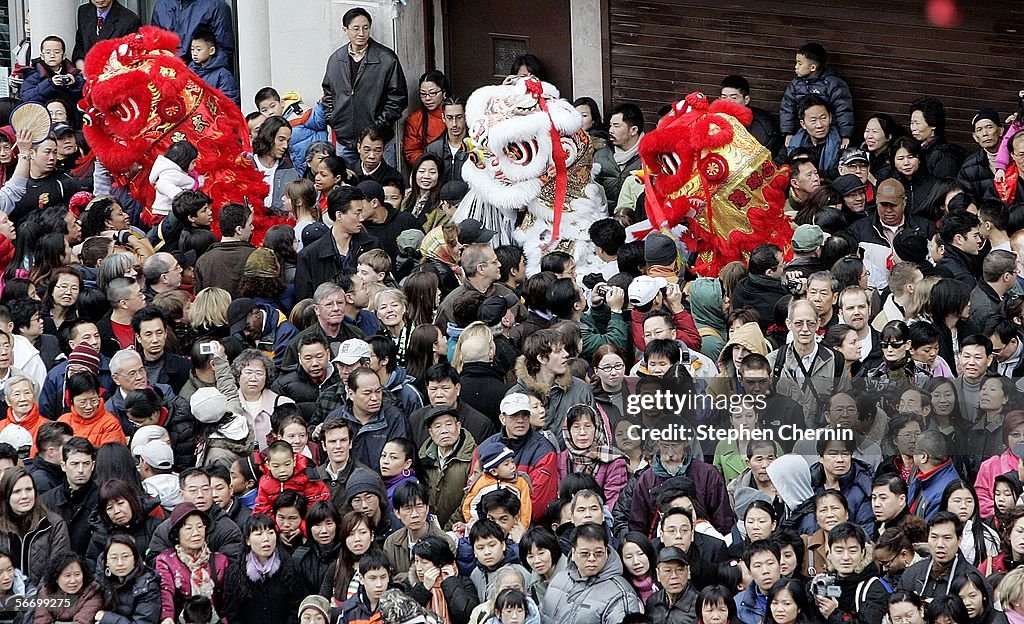 New York Chinatown Celebrates Year Of The Dog