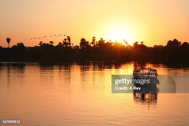 sunset on the banks of the nile - nile river stockfoto's en -beelden