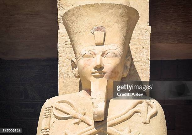 osiris - osiris stock pictures, royalty-free photos & images